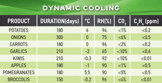 DYNAMIC COOLING 02