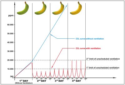 DYNAMIC RIPENING 03